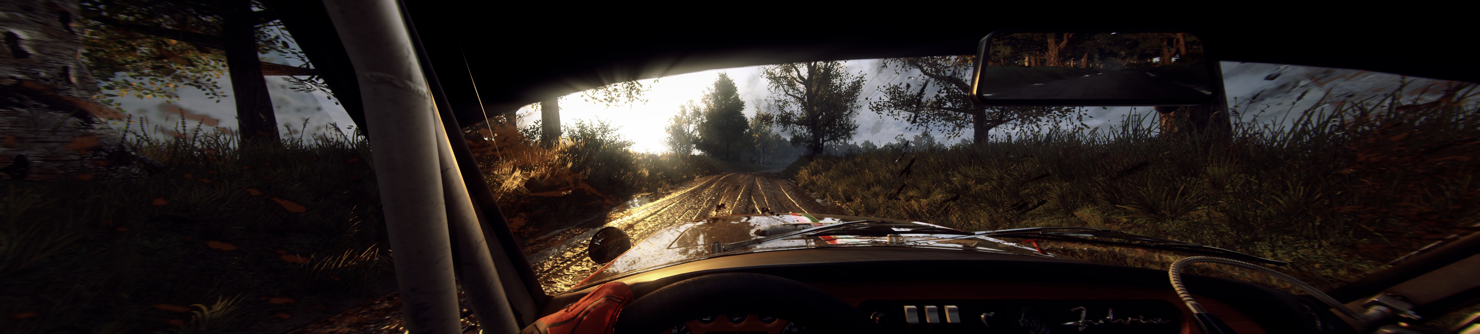 Dirt Rally 2