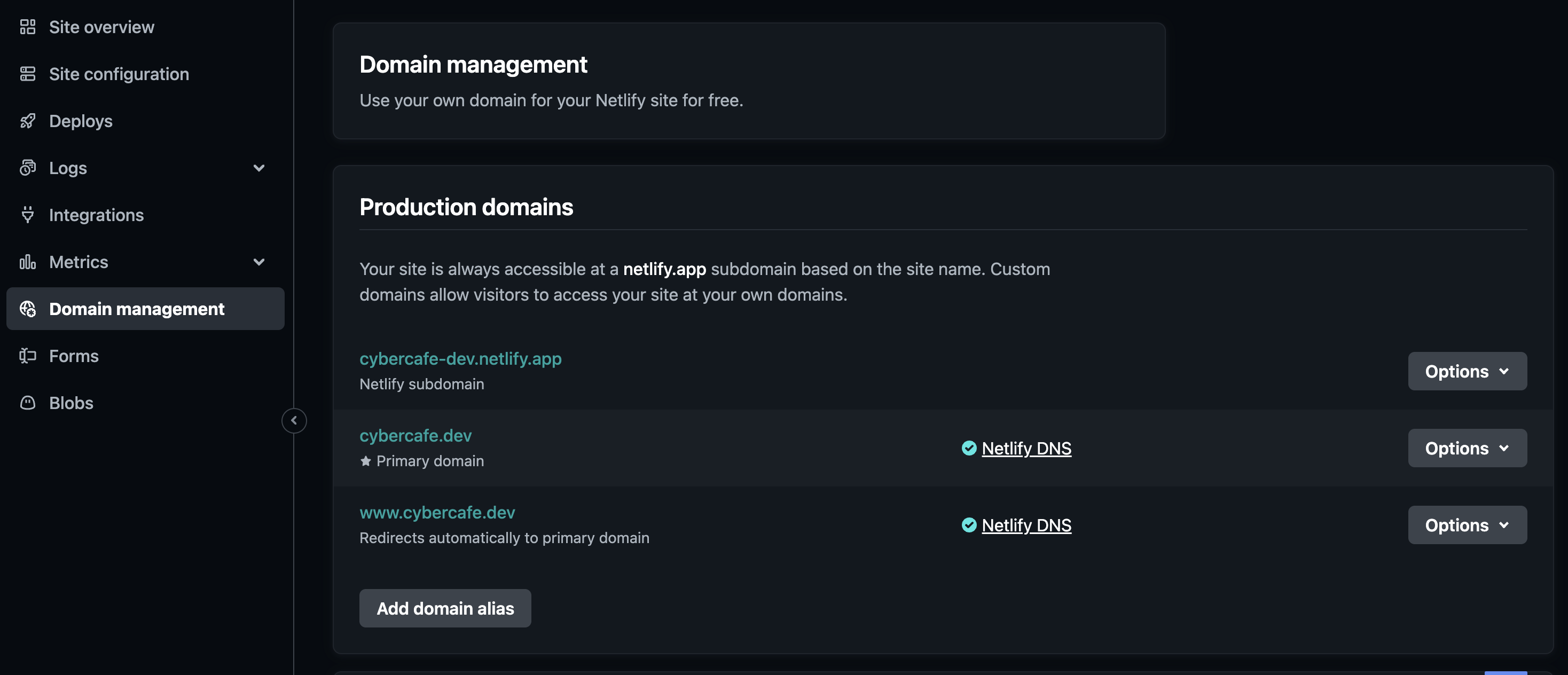 cybercafe.dev-dns-change-successful